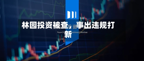 林园投资被查，事出违规打新-第1张图片