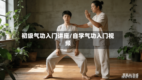 初级气功入门讲座/自学气功入门视频-第1张图片