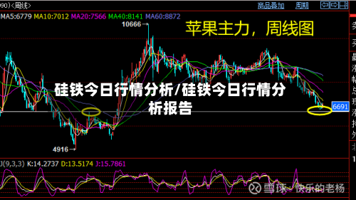 硅铁今日行情分析/硅铁今日行情分析报告-第2张图片
