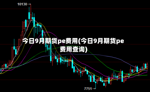今日9月期货pe费用(今日9月期货pe费用查询)-第2张图片