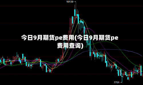 今日9月期货pe费用(今日9月期货pe费用查询)-第1张图片