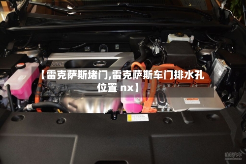 【雷克萨斯堵门,雷克萨斯车门排水孔位置 nx】-第2张图片