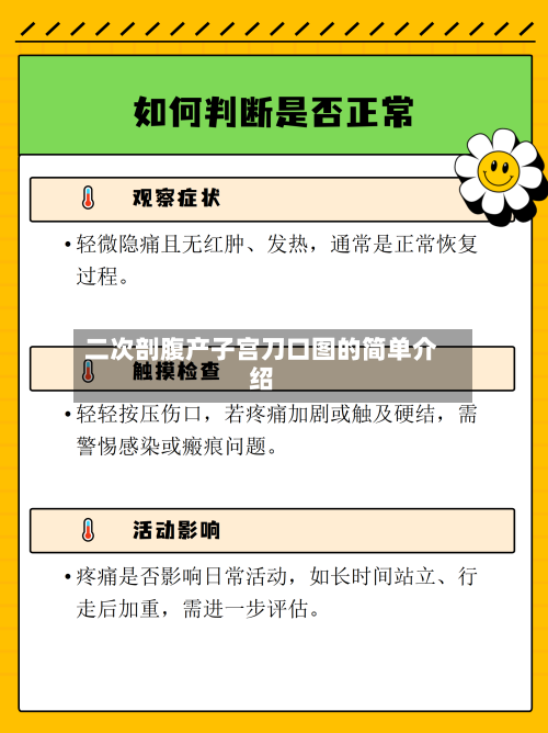 二次剖腹产子宫刀口图的简单介绍-第3张图片