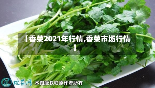 【香菜2021年行情,香菜市场行情】-第1张图片