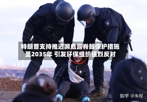 特朗普支持推迟濒危露脊鲸保护措施至2035年 引发环保组织强烈反对-第3张图片