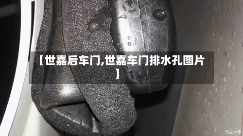 【世嘉后车门,世嘉车门排水孔图片】-第1张图片