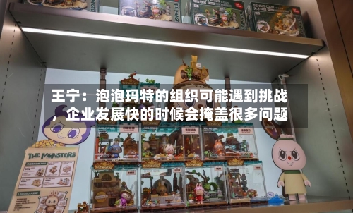 王宁：泡泡玛特的组织可能遇到挑战，企业发展快的时候会掩盖很多问题-第1张图片