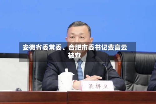 安徽省委常委、合肥市委书记费高云被查-第1张图片