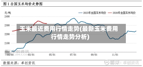 玉米最近费用行情走势(最新玉米费用行情走势分析)-第3张图片