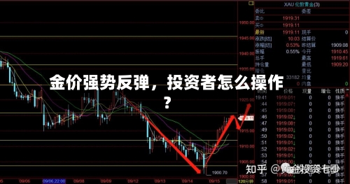 金价强势反弹，投资者怎么操作？-第2张图片