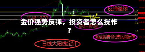 金价强势反弹，投资者怎么操作？-第1张图片