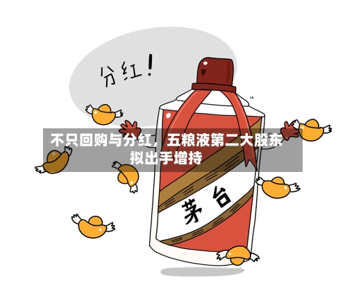 不只回购与分红，五粮液第二大股东拟出手增持-第2张图片