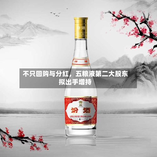 不只回购与分红，五粮液第二大股东拟出手增持-第1张图片