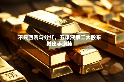 不只回购与分红，五粮液第二大股东拟出手增持-第3张图片