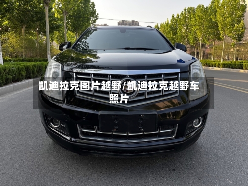 凯迪拉克图片越野/凯迪拉克越野车照片-第2张图片