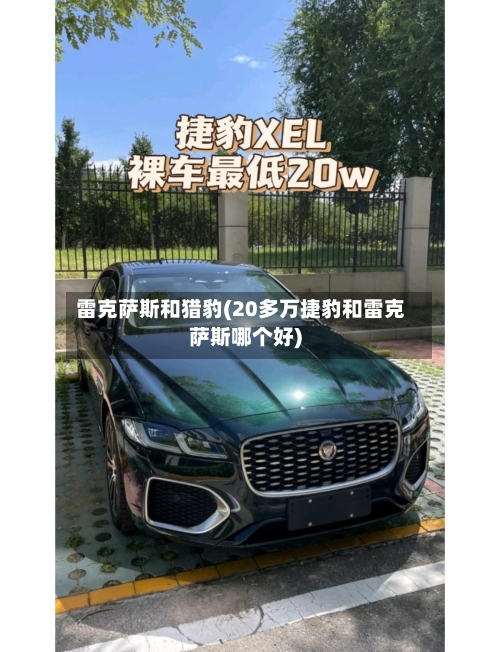 雷克萨斯和猎豹(20多万捷豹和雷克萨斯哪个好)-第1张图片