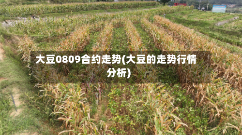 大豆0809合约走势(大豆的走势行情分析)-第1张图片
