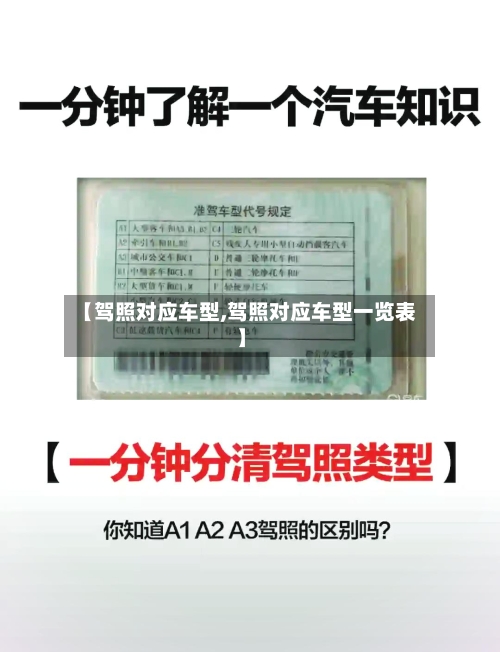 【驾照对应车型,驾照对应车型一览表】-第1张图片