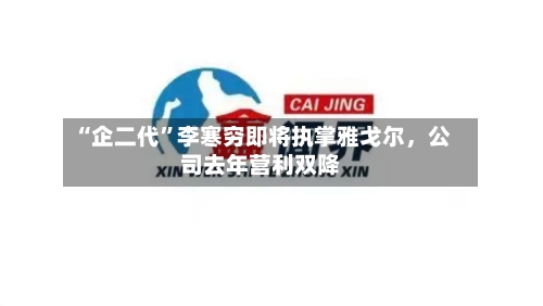 “企二代	”李寒穷即将执掌雅戈尔，公司去年营利双降-第1张图片