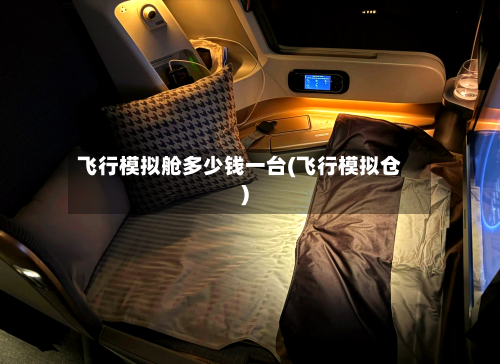 飞行模拟舱多少钱一台(飞行模拟仓)-第2张图片