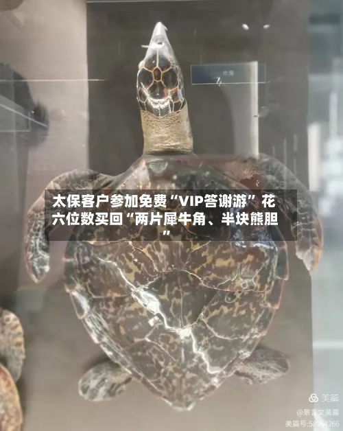 太保客户参加免费“VIP答谢游” 花六位数买回“两片犀牛角、半块熊胆	”-第1张图片