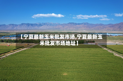 【宁夏最新玉米批发市场,宁夏最新玉米批发市场地址】-第1张图片