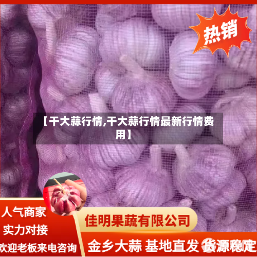 【干大蒜行情,干大蒜行情最新行情费用】-第2张图片