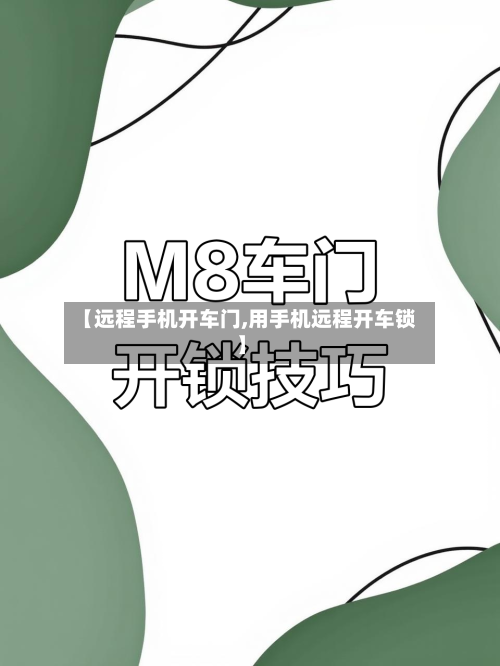 【远程手机开车门,用手机远程开车锁】-第1张图片