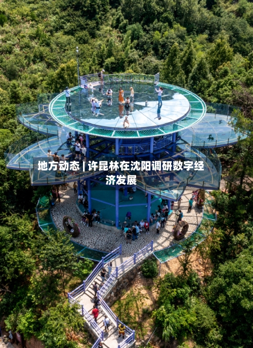 地方动态 | 许昆林在沈阳调研数字经济发展-第3张图片