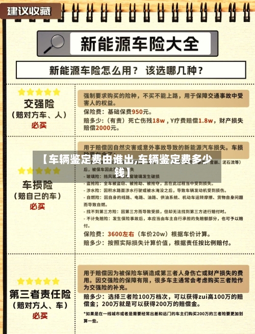 【车辆鉴定费由谁出,车辆鉴定费多少钱】-第1张图片