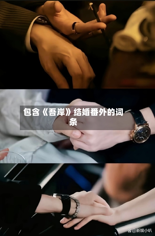 包含《吾岸》结婚番外的词条-第1张图片
