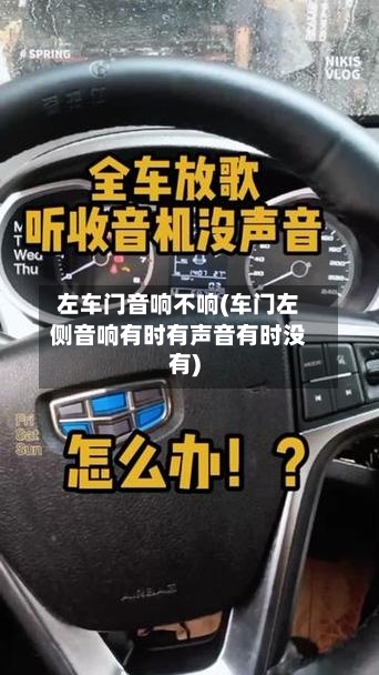 左车门音响不响(车门左侧音响有时有声音有时没有)-第2张图片
