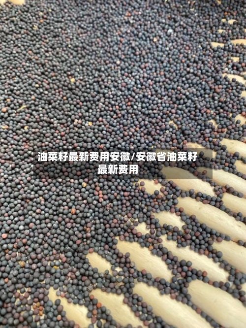 油菜籽最新费用安徽/安徽省油菜籽最新费用-第2张图片