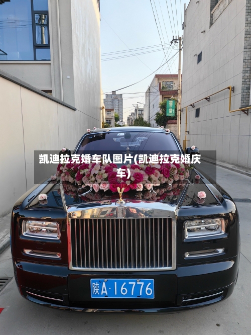 凯迪拉克婚车队图片(凯迪拉克婚庆车)-第1张图片