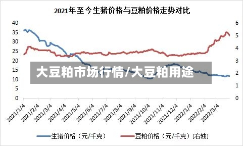 大豆粕市场行情/大豆粕用途-第2张图片