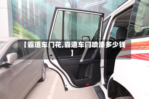 【霸道车门花,霸道车门喷漆多少钱】-第2张图片
