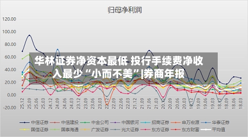 华林证券净资本最低 投行手续费净收入最少“小而不美”|券商年报-第1张图片