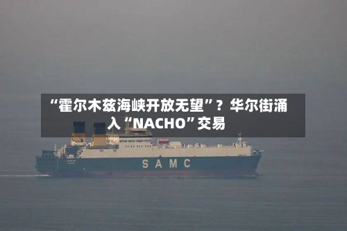 “霍尔木兹海峡开放无望”？华尔街涌入“NACHO	”交易-第3张图片