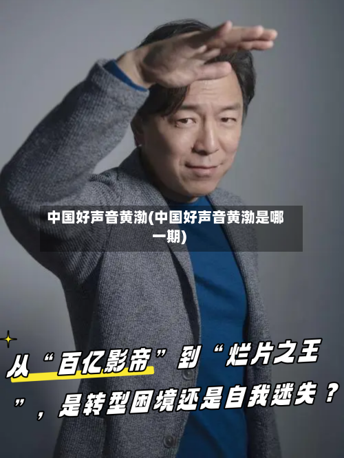 中国好声音黄渤(中国好声音黄渤是哪一期)-第1张图片