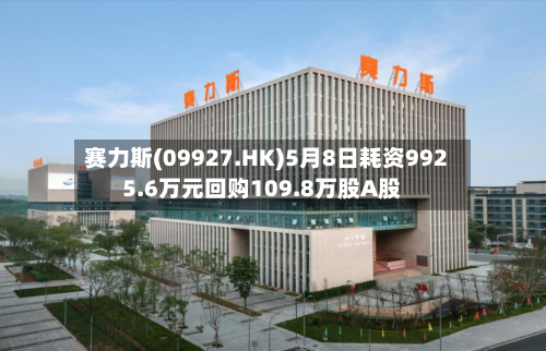 赛力斯(09927.HK)5月8日耗资9925.6万元回购109.8万股A股-第1张图片