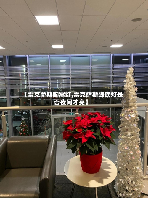 【雷克萨斯脚窝灯,雷克萨斯脚底灯是否夜间才亮】-第2张图片