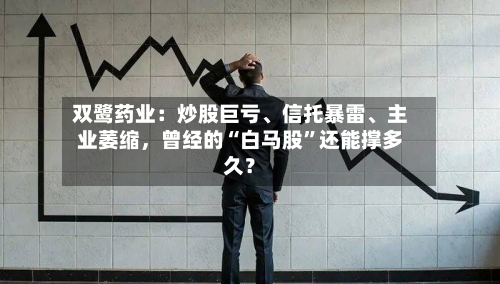 双鹭药业：炒股巨亏、信托暴雷、主业萎缩，曾经的“白马股	”还能撑多久？-第2张图片