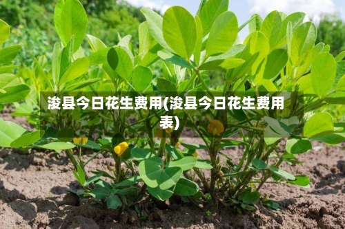 浚县今日花生费用(浚县今日花生费用表)-第2张图片