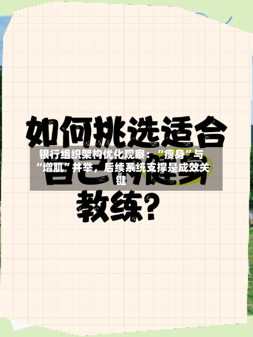 银行组织架构优化观察：“瘦身”与“增肌	”并举	，后续系统支撑是成效关键-第1张图片