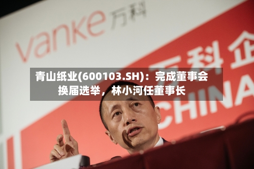 青山纸业(600103.SH)：完成董事会换届选举，林小河任董事长-第1张图片