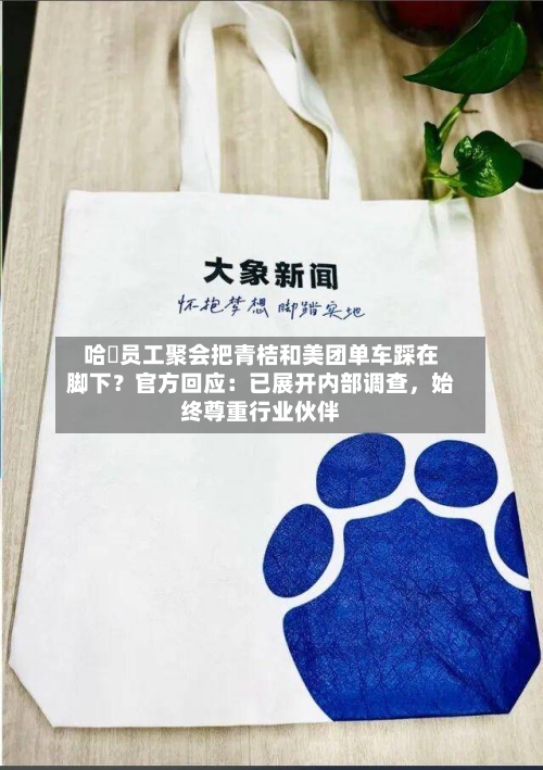 哈啰员工聚会把青桔和美团单车踩在脚下？官方回应：已展开内部调查，始终尊重行业伙伴-第2张图片