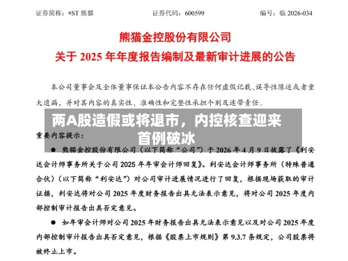 两A股造假或将退市	，内控核查迎来首例破冰-第1张图片