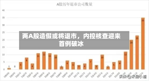 两A股造假或将退市，内控核查迎来首例破冰-第2张图片