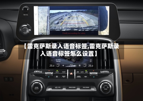 【雷克萨斯录入语音标签,雷克萨斯录入语音标签怎么设置】-第2张图片