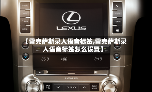 【雷克萨斯录入语音标签,雷克萨斯录入语音标签怎么设置】-第1张图片